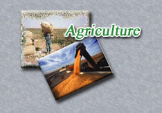 Agriculture