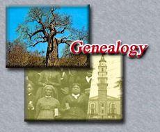 Genealogy