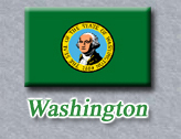 Washington State Flag